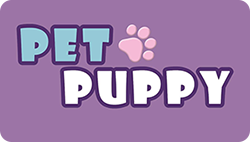Pet Puppy